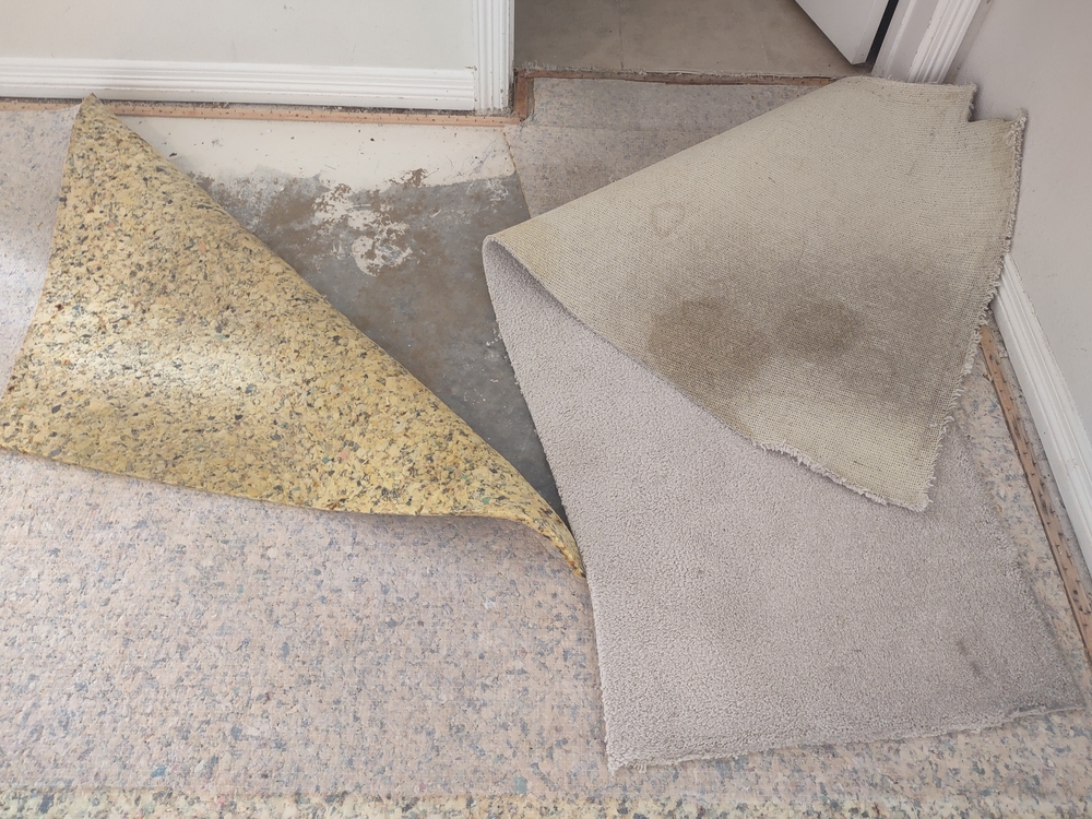 Carpet Removal and Disposal